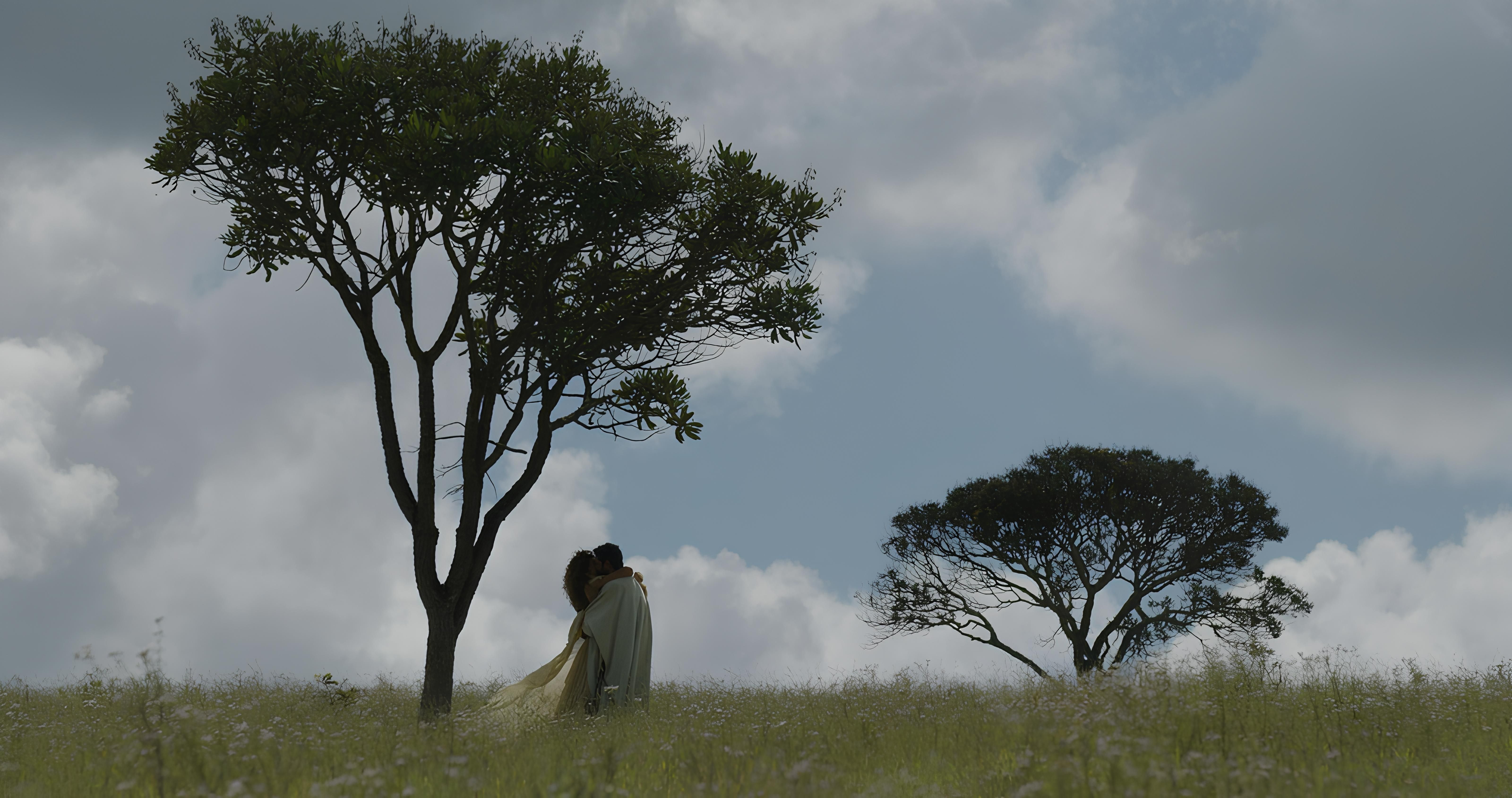 foto G O árvore.jpeg